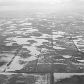 Aerial view of flooded wheat paddocks in Horsham.