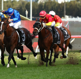 Militarize charges to victory in last year’s Golden Rose.