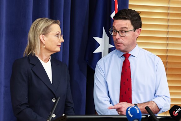 Reunited: Liberal leader Sussan Ley and Nationals leader David Littleproud face the media on Wednesday.