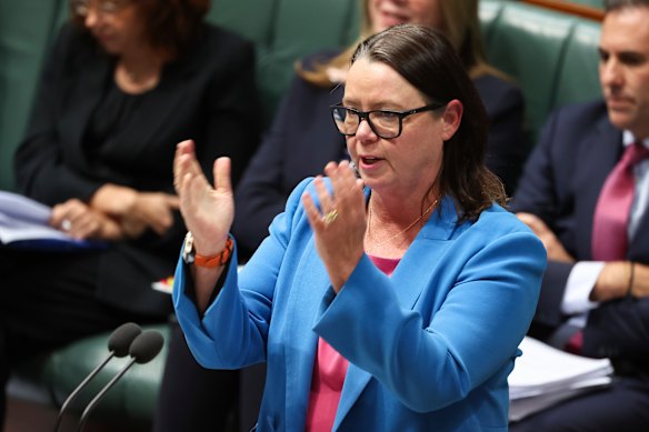 Minister for Resources Madeleine King says Australia is taking the lead on rare earths.