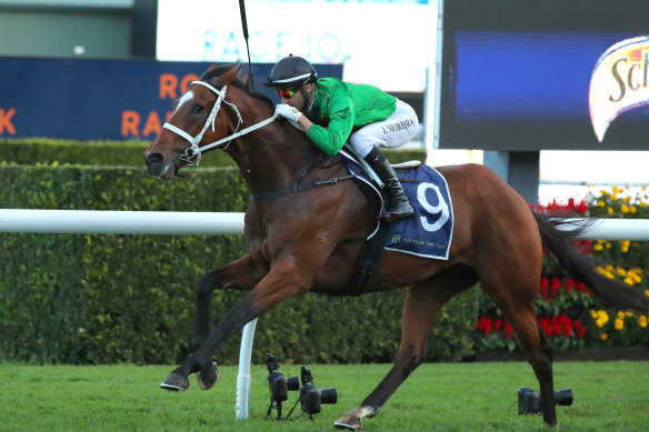 Joao Moreira pushes out Democracy Manifest for a return win at Randwick. 