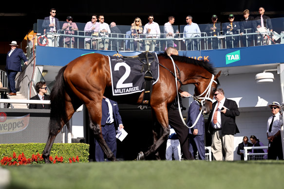 Militarize could be on a Cox Plate path for Chris Waller.