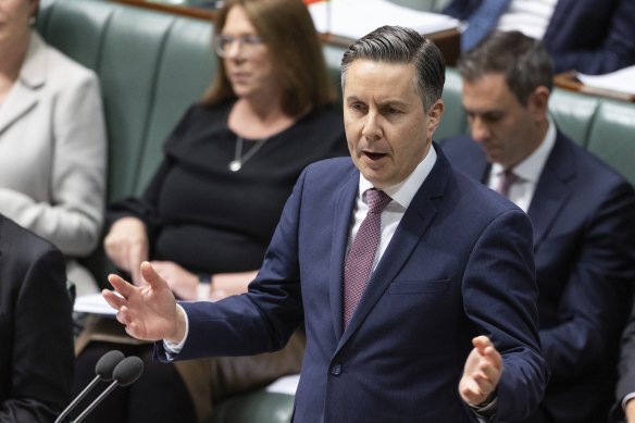 Health Minister Mark Butler in parliament last month.