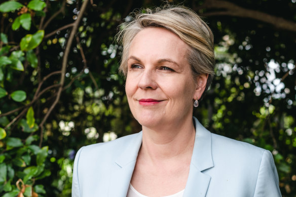 Environment Minister Tanya Plibersek wants the COP15 conference to do for the environment what the Paris climate conference did for emissions reduction.