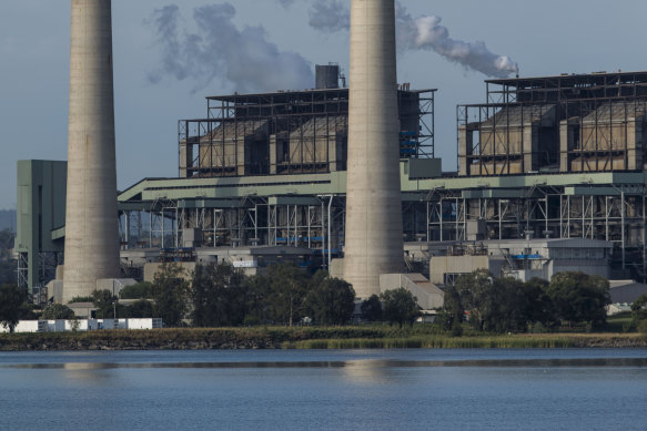 The Liddell and Bayswater coal-fired power stations near Muswellbrook in the Hunter Valley.
