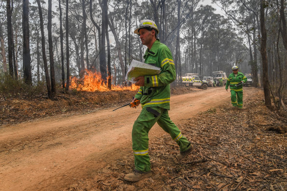 DELWP officers burn a containment line along Blaze Road north of Bairnsdale in January.