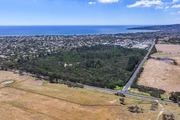 An aerial view of the privately owned bushland, which is proposed to be subdivided into 250 housing lots. 