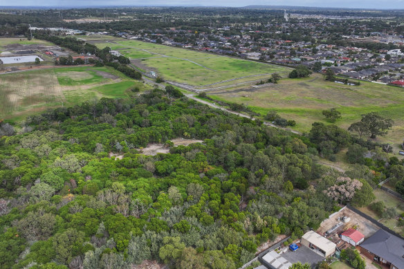 This small woodland in Cranbourne will be cleared for housing, other than a 30-metre wide corridor for bandicoots.
