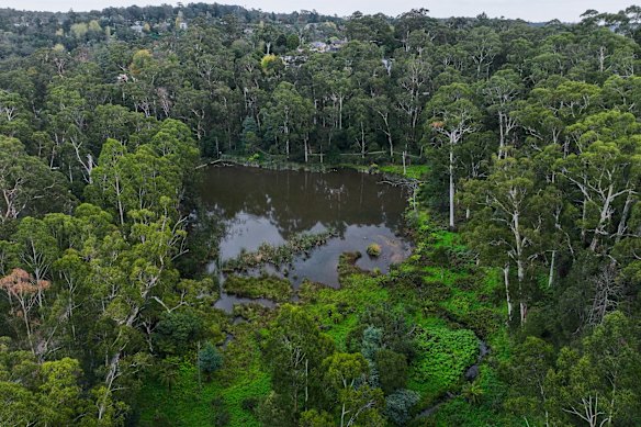 Melbourne Water is installing a network of connected rainwater tanks across suburban backyards and public reserves along Monbulk Creek to help platypus populations.