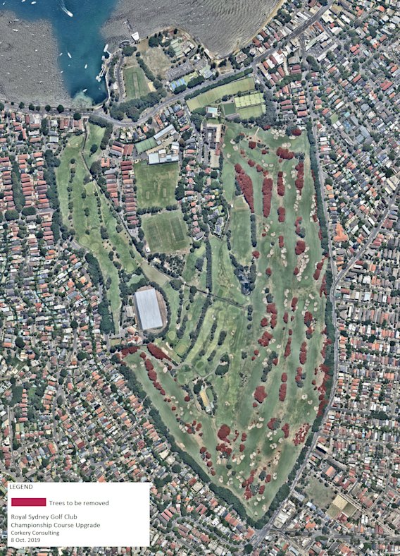 The Royal Sydney Golf Club development application to modernise its golf course, and remove trees marked in red, has attracted ferocious opposition. 