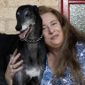Move over, cavoodles: Meet Sydney’s $27,000 dog