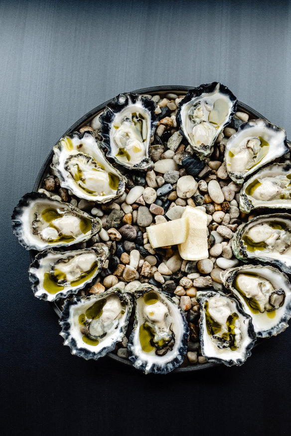 Freshly shucked oysters.