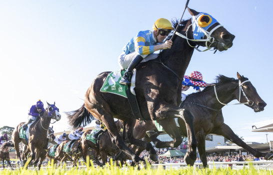 Race-by-race preview and tips for Gosford on Thursday