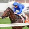 Cummings charts steady course for Guineas with Aft Cabin
