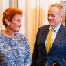 Sex toys, taxidermy and Pauline Hanson: Inside Shorten’s rogue campaign