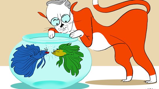 Ilustração de Simon Letch