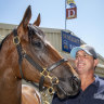 Forget Paris catwalks, this worn-down patch of grass makes or breaks a $3m horse