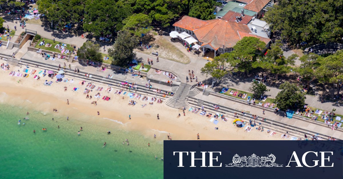 Shark Beach to shut out swimmers until December - Vimarsana News