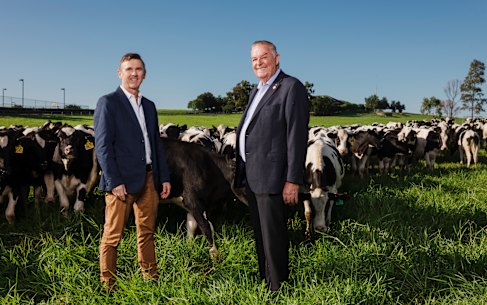 Tony Perich, right, and his son Mark Perich at their dairy farm at Bringelly next to the site of the new airport.
