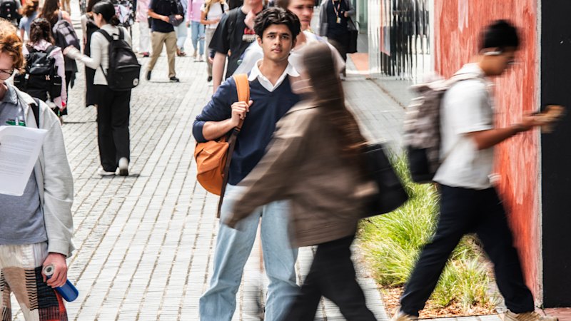 ‘Students are paying the price’: More than half of uni tutorials at least double the ideal size