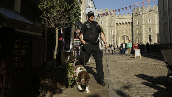 A police search dog and handler patrol outside Windsor Castle ahead of Princess Eugenie's wedding.