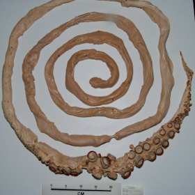 Post image 14