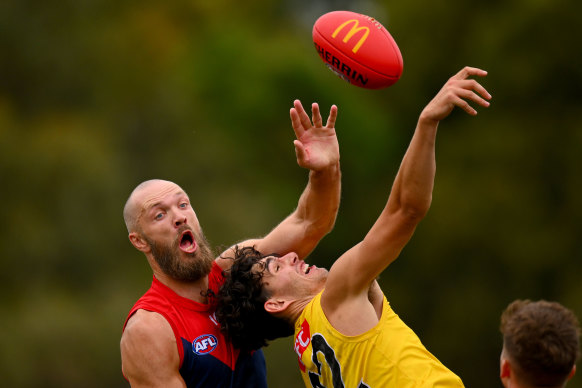 Max Gawn and Samson Ryan contest the ruck.
