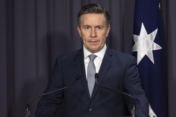 Federal Health Minister Mark Butler. 