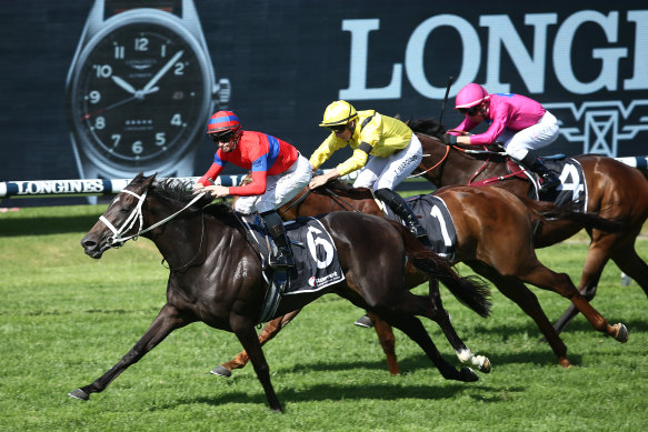 Verry Elleegant edges out Addeybb in last month’s Ranvet Stakes at Rosehill  