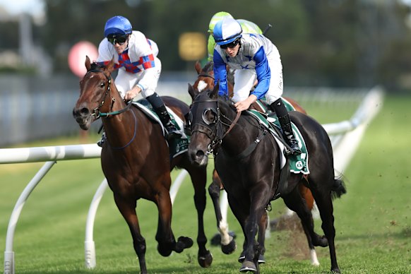 Belle Cheval wins the Vinery.