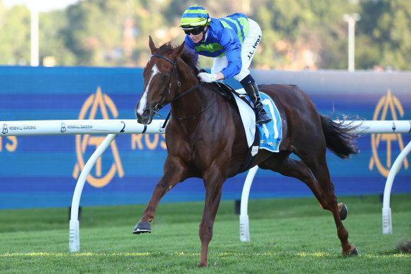 Another Wil strolls in to win last week’s Doncaster Prelude and complete Ciaron Maher’s Doncaster plan.