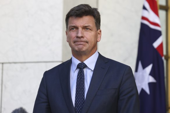 Energy Minister Angus Taylor says carbon offsets will be the key to the world meeting emissions reduction  targets.