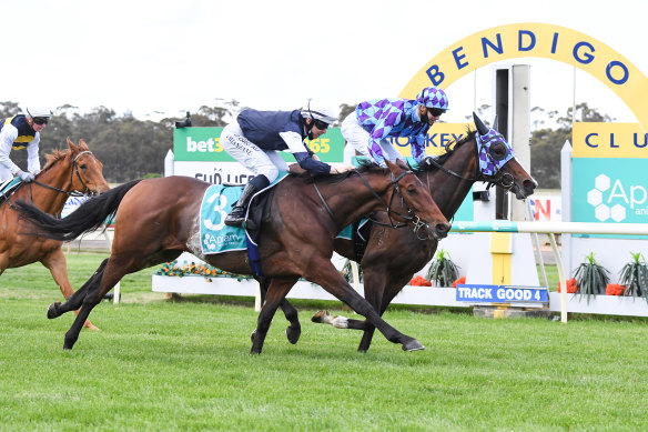 Princess Jenni wins the Bendigo Cup.