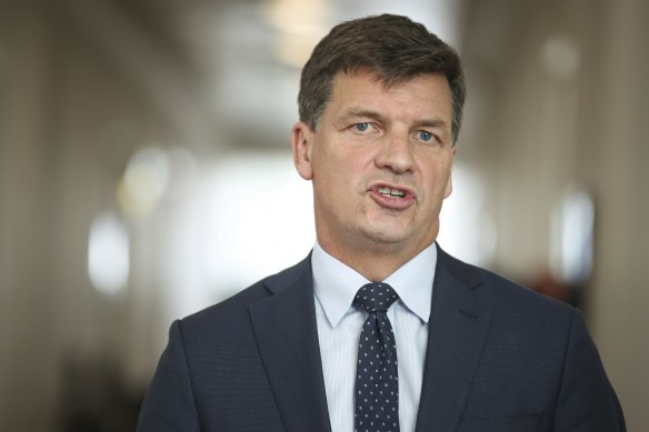 Federal Energy Minister Angus Taylor. 