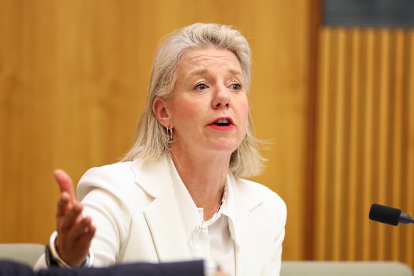 Senator Bridget McKenzie, the Coalition’s infrastructure spokeswoman.