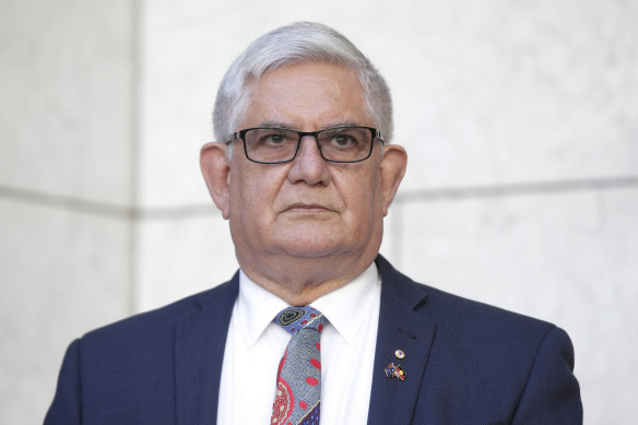 Indigenous Australians Minister Ken Wyatt says freeing the Aboriginal flag is a delicate and sensitive matter.