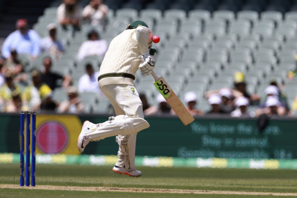 Usman Khawaja was struck by Alzarri Joseph but pulled his next short ball for four.