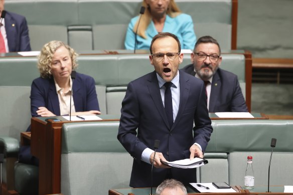 Greens leader Adam Bandt during Question Time today.