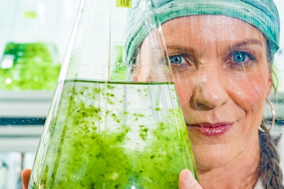 Dr Pia Winberg at her lab in Ulladulla, NSW.