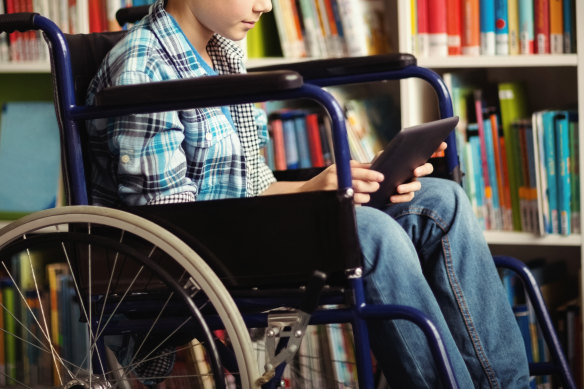 Schools should provide a foundation level of support to children and individual support packages through the NDIS would then be built on top of that, the scheme’s reviewers say.