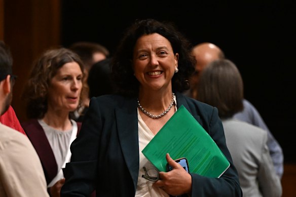 Amelia Hamer is trying to win Kooyong from independent MP Dr Monique Ryan (above).