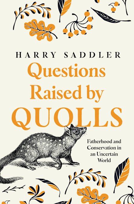 Questions Raised by Quolls by Harry Saddler.