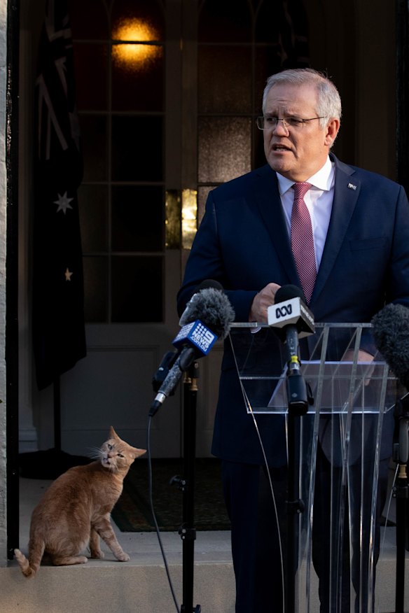 Prime Minister Scott Morrison on Friday