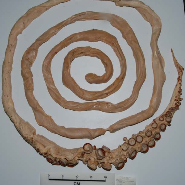 Post image 7