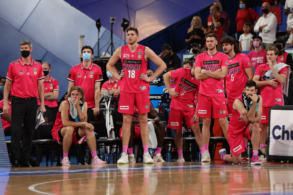 SEG’s sporting assets include the NBL’s Perth Wildcats.