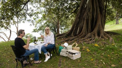 Sydney couple celebrates every anniversary and birthday under one special tree