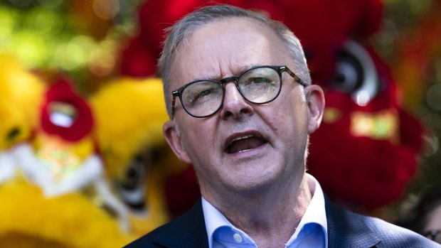 Albanese says critics of the Voice to parliament ‘trying to start a culture war’