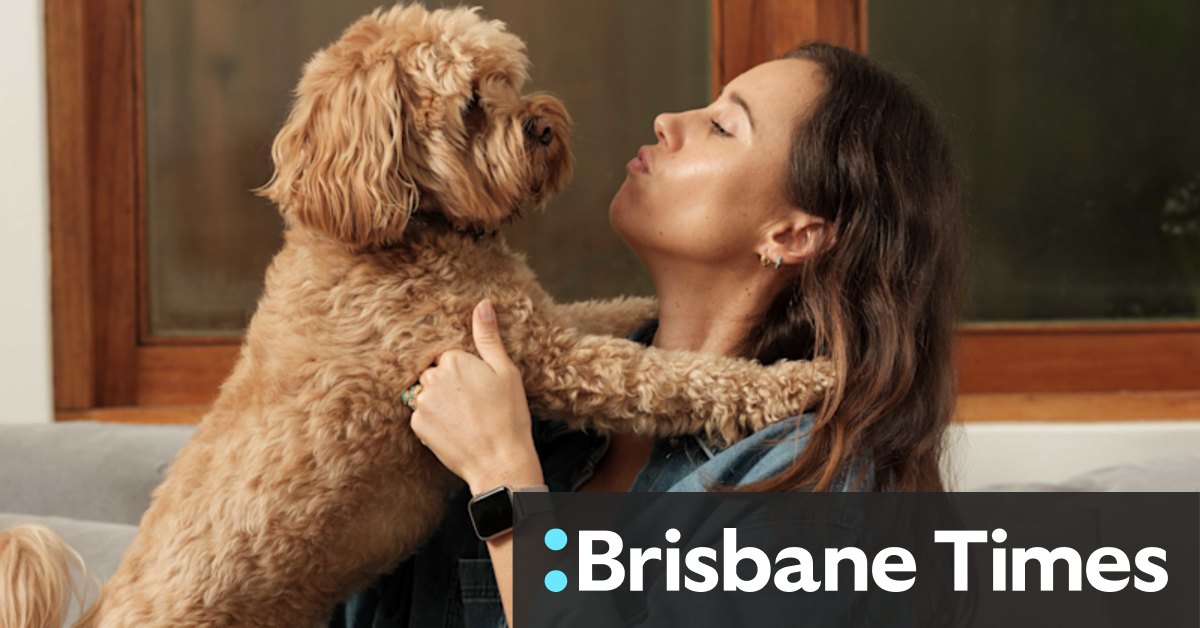 'Humanisation of pets': Inside the $4b-a-year pet vitamins boom - Vimarsana News