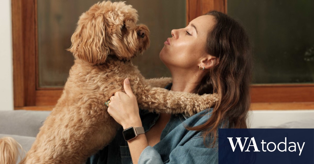 'Humanisation of pets': Inside the $4b-a-year pet vitamins boom - Vimarsana News