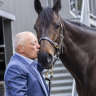 Cox Plate hope Pride of Jenni is named after owner Tony Ottobre’s daughter. 